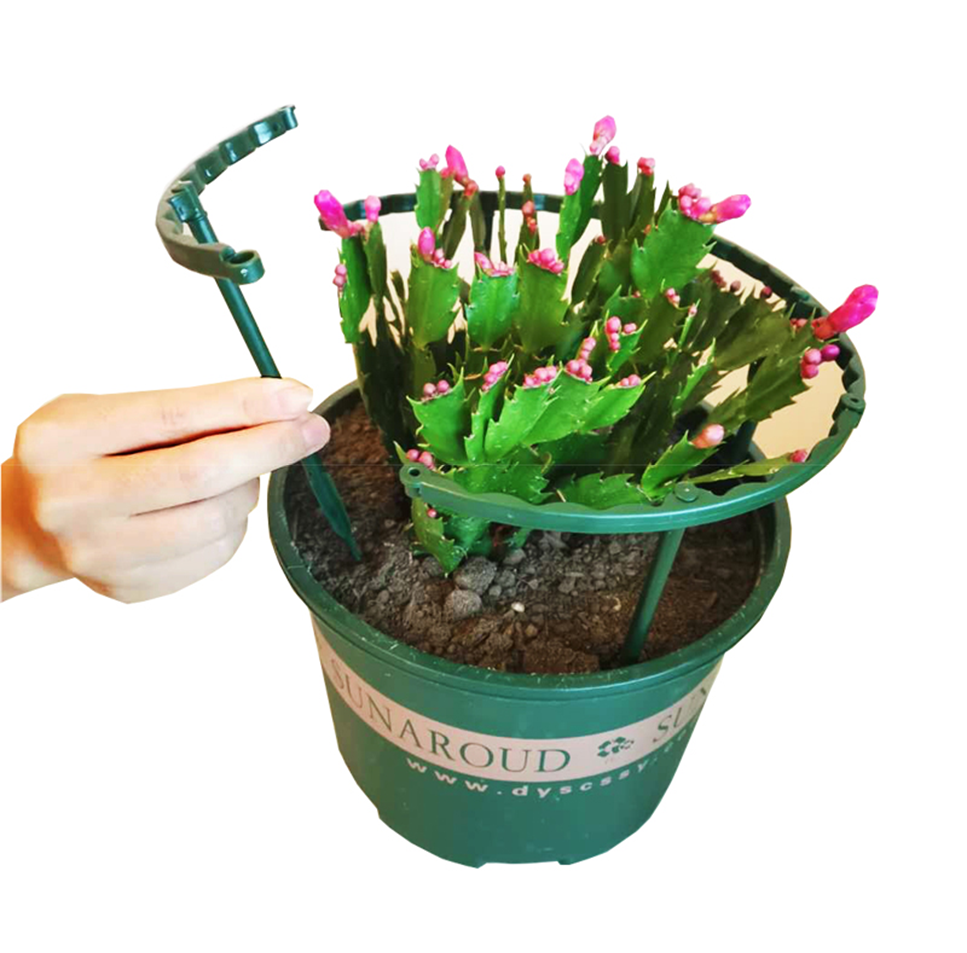 蟹爪兰支架花架蟹爪兰专用支架蟹爪莲多肉可拼接单层绿植花支撑架防