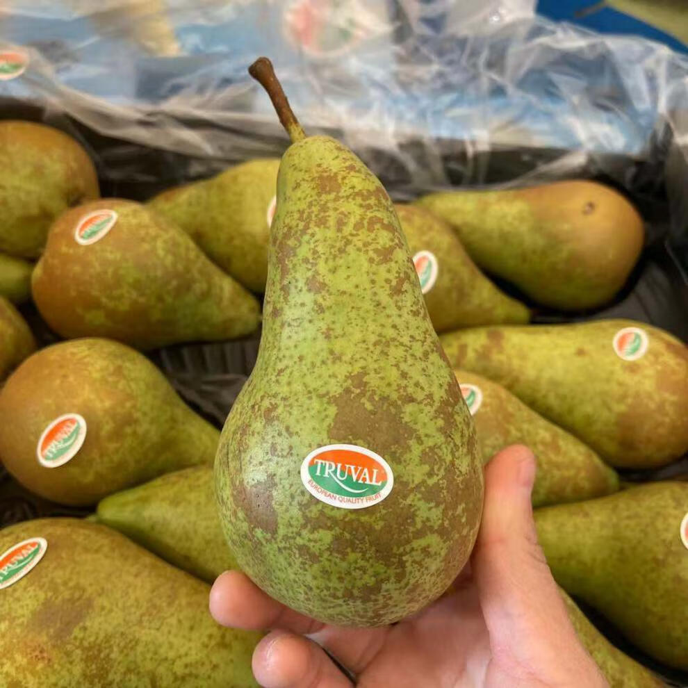 闪电发货啤梨新鲜比利时啤梨软糯香甜荷兰青啤梨新鲜孕妇水果2斤装