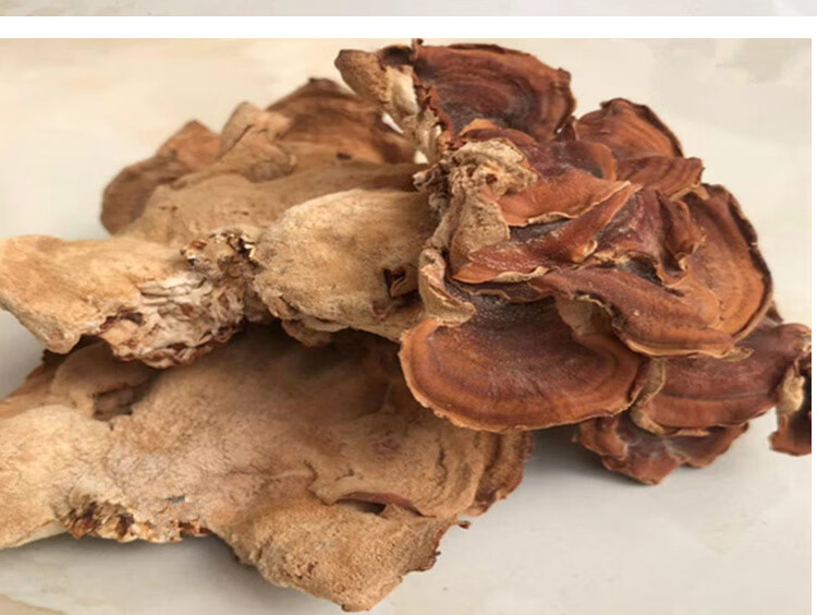 榆耳干货东北特产野生黄金侧耳榆蘑素食500g灵芝菇榆菇榆耳菌干货