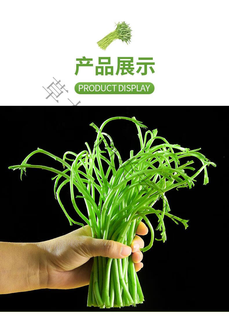 春光岛湖北藜蒿新鲜芦蒿洪湖泥蒿篱蒿蓠蒿特产泥耗黎耗菜蔬菜 4斤