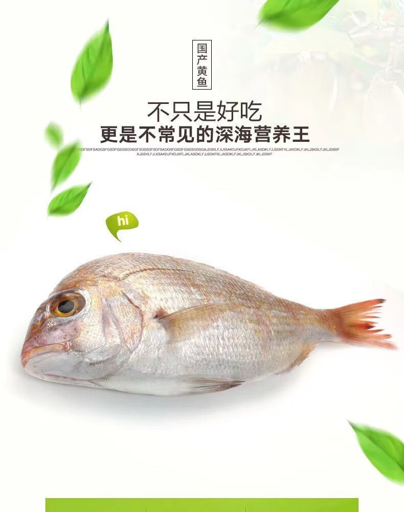 青岛野生大黄姑鱼新鲜东海鱼冷冻大海鱼海鲜水产批发 净重无冰精选