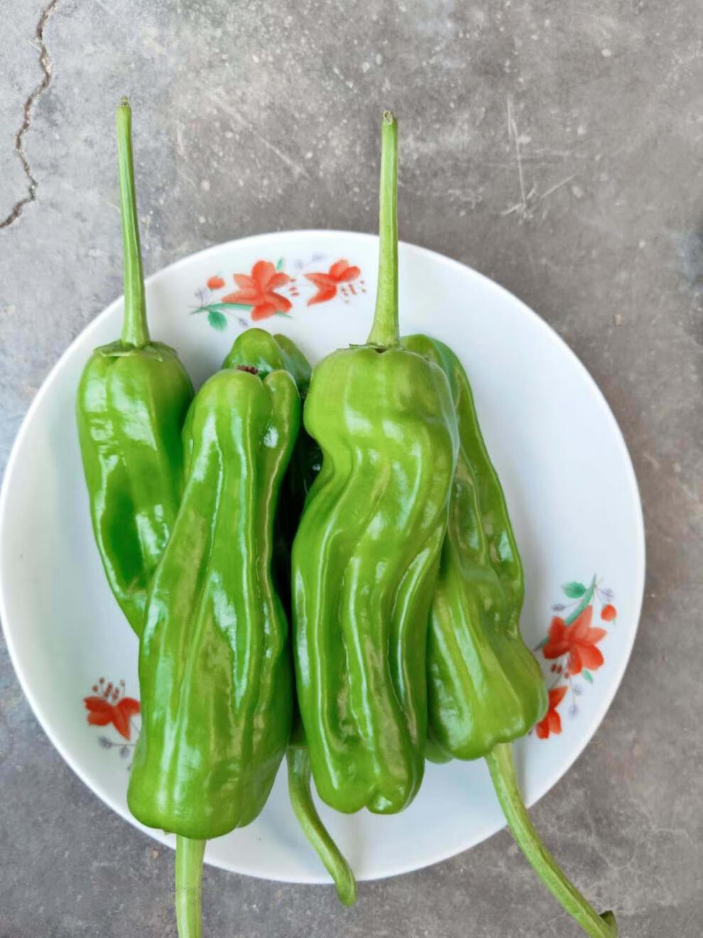 薄皮青椒【微辣】 精选泡沫箱3斤装【防冻防损】