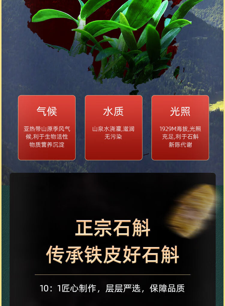 抖音同款铁皮石角斗多规格铁皮石斛霍山正宗仿野生干条正干品批发接