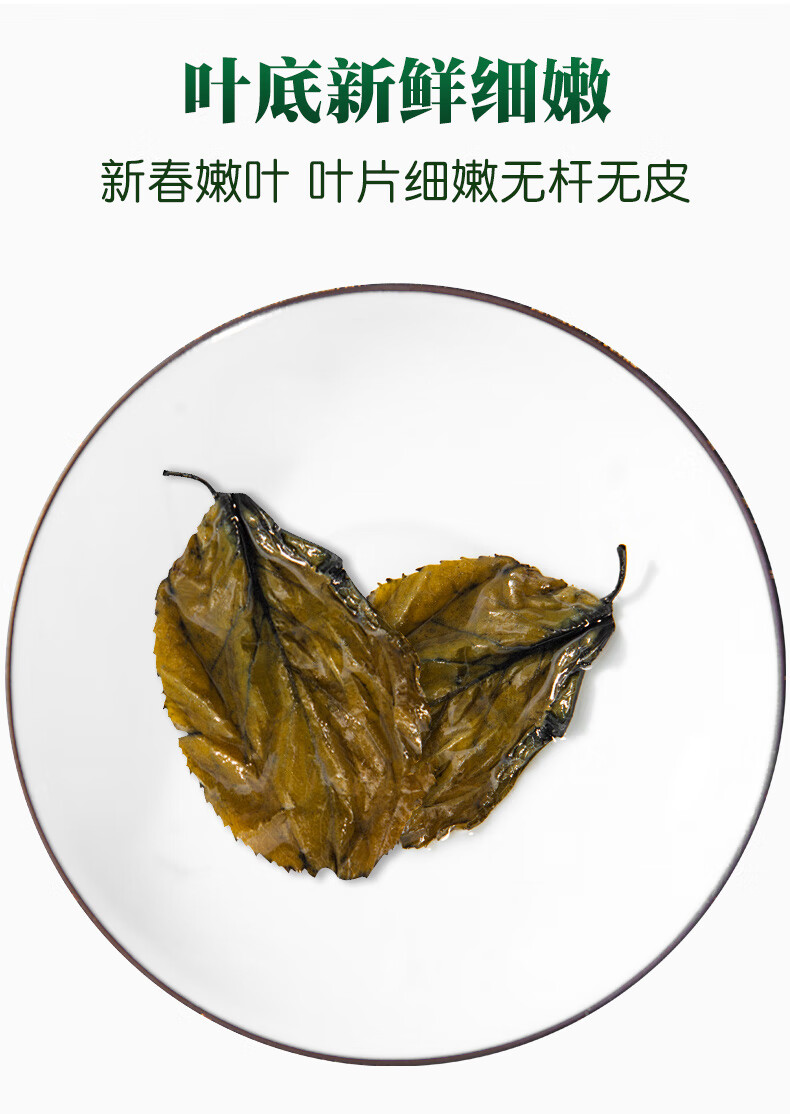 张家界杜仲茶图片