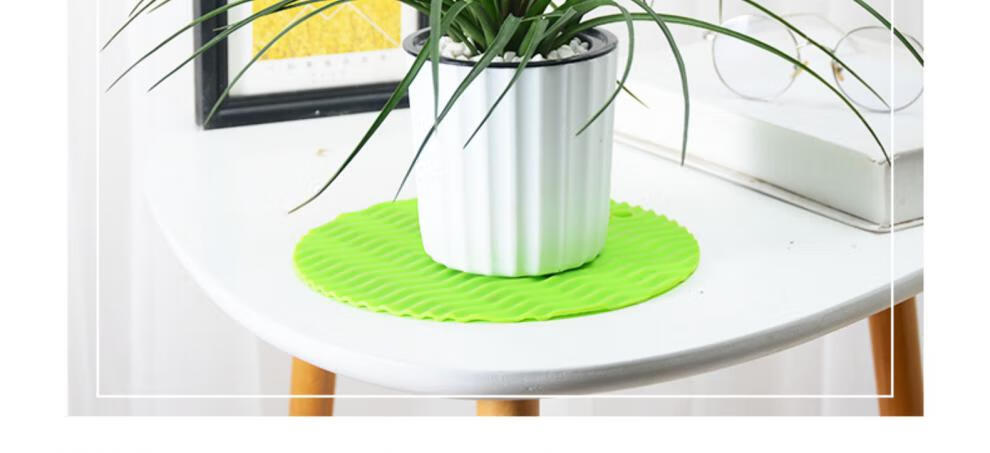 室内植物报价