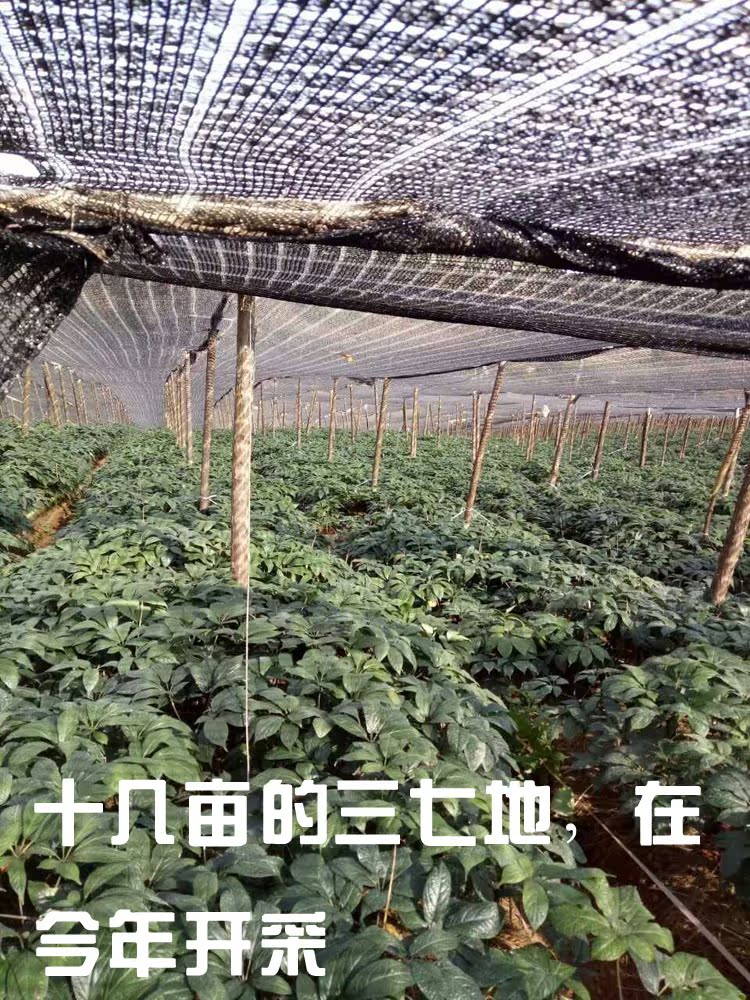 ef8d31d52ca8e7df.jpg