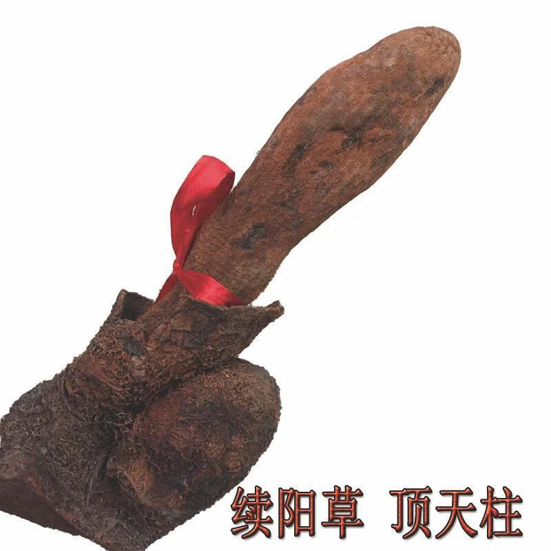 西藏顶天柱续阳草回春草不老草 肉苁蓉 锁阳男性泡酒