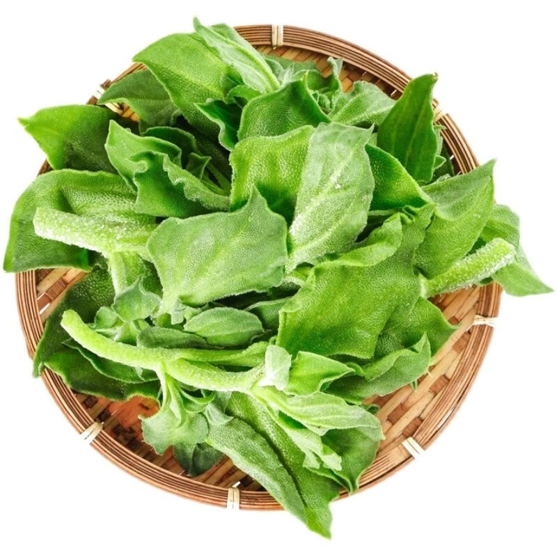 山东新鲜冰菜冰草农家新鲜蔬菜火锅菜沙拉菜冰叶 2斤冰菜(酱)泡沫箱【