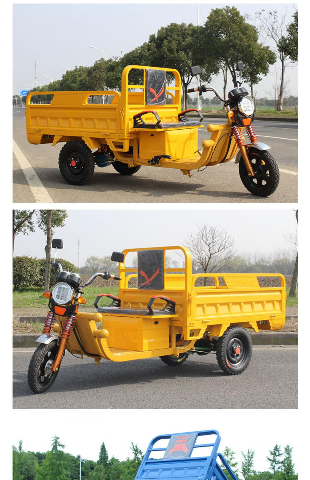 电动三轮车拉货载重王三轮电动电瓶车家用大型农用三轮车摆摊快递 1.