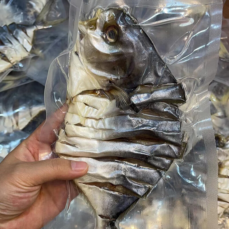 淡晒金鲳鱼 阳江湛江特产淡晒金鲳鱼鱼干咸鱼金昌鱼仓鱼农家自制干货