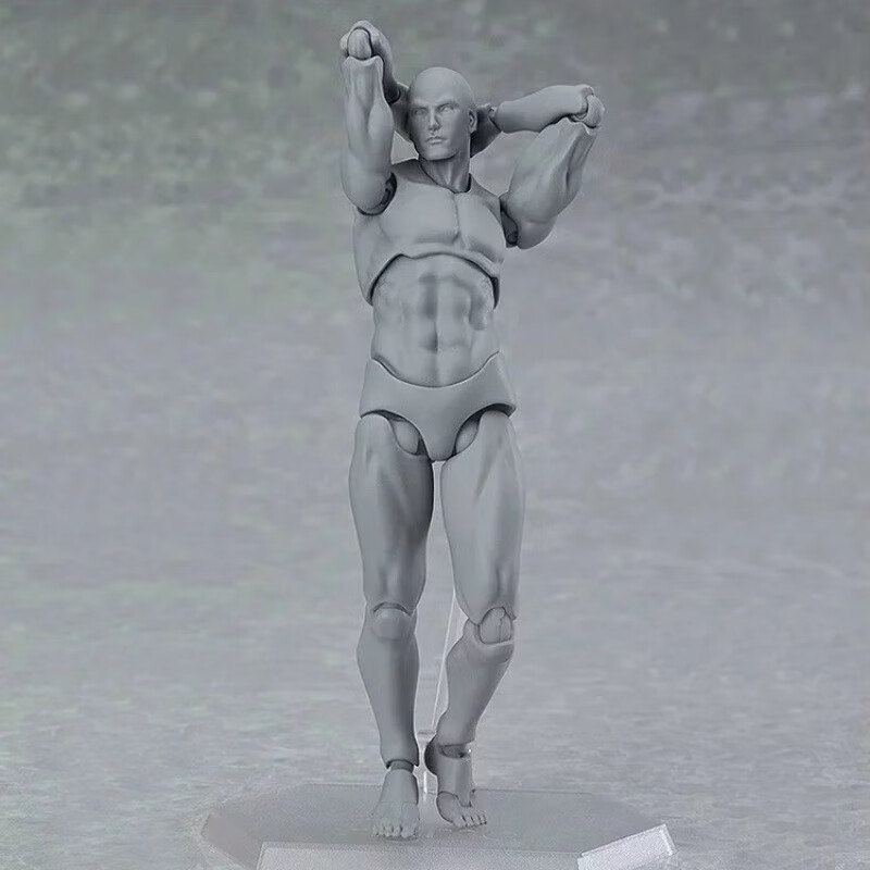 人体玩具日本人偶关节可动成人绘画肌肉shf可动素体漫画比例参考男女