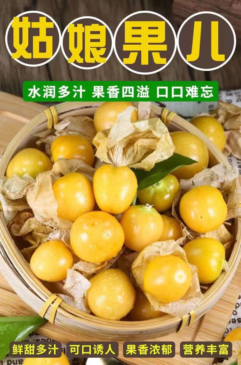 【东北特产】菇娘果应季甜姑娘果新鲜灯笼果特产水果现摘 五斤(优选)