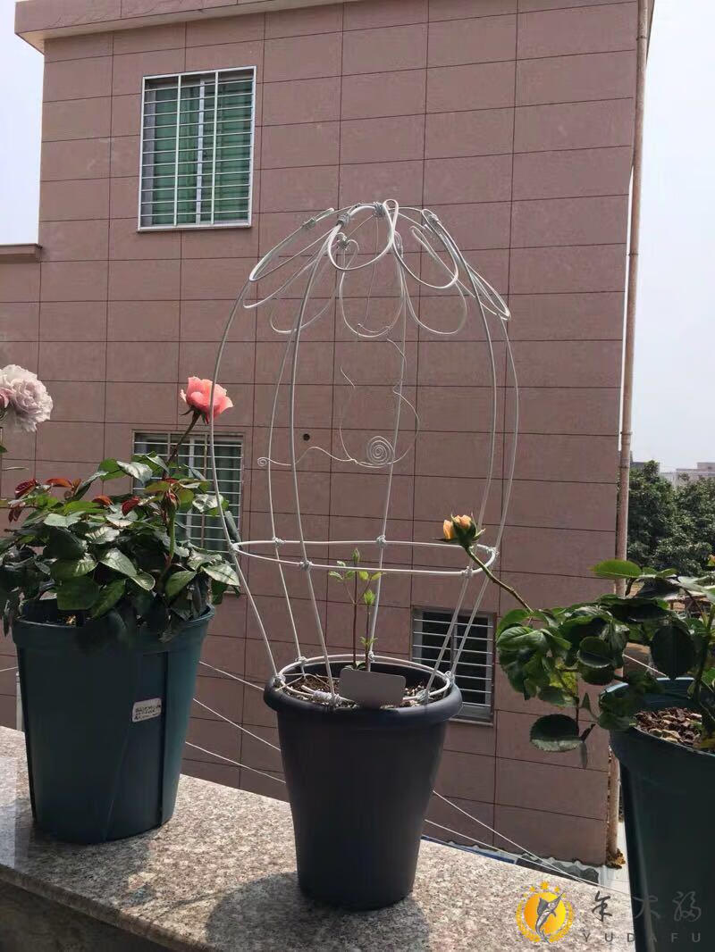 园艺包塑铁丝铁线莲支架攀爬架盆栽造型爬藤花架阳台定制聚喆40mm12米