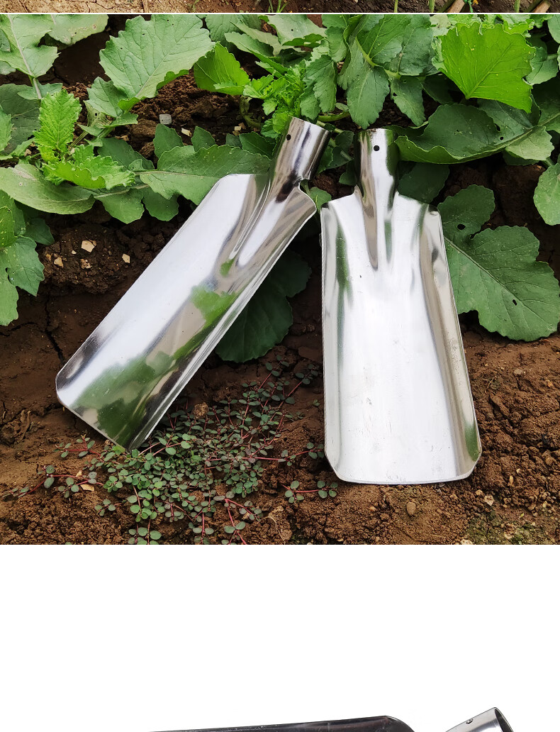 小方铲户外铲土挖沟铲子牧羊神器锐衡 不锈钢斗铲单独头【图片 价格