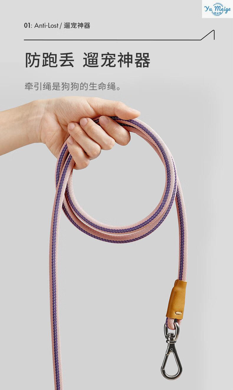 牵引绳遛狗小型犬泰迪狗链子小狗狗幼犬狗绳狗链牵绳m项圈英斯特绿18