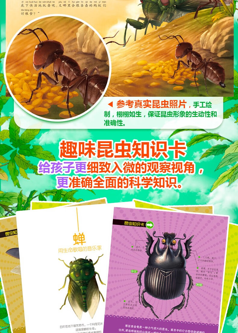 法布尔昆虫记 螳螂-多情的快刀手 彩图注音版儿童科普百科绘本 3-6-9