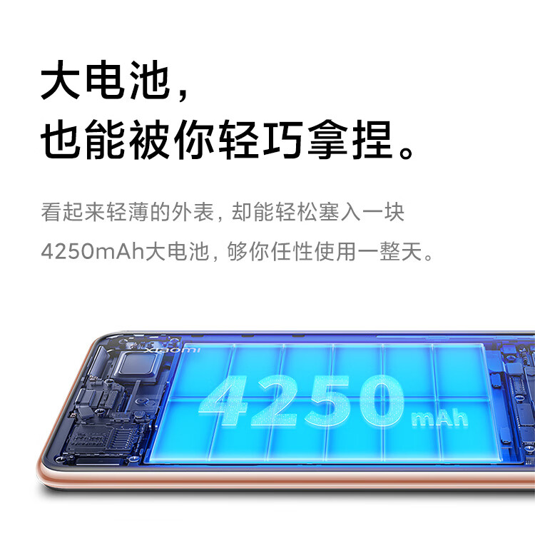 6575b842dcd5d31e.jpg