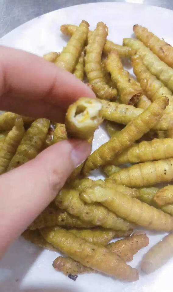批发豆虫野生山东豆虫豆丹豆虫活体豆虫即食炸豆虫活豆虫豆青虫半斤