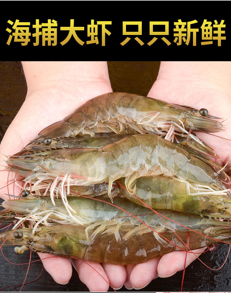 京东生鲜 顺丰 大虾海虾海鲜水产鲜活活虾鲜虾冷冻白对虾青虾青岛