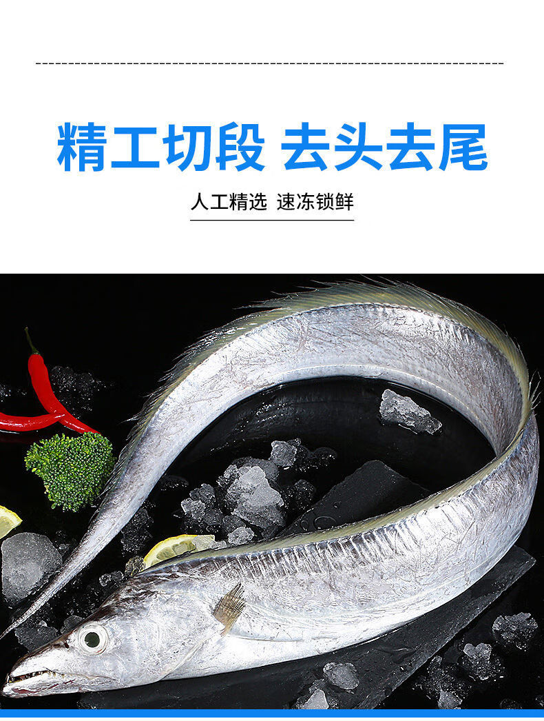 活動中原生國產東海帶魚新鮮海捕東海刀魚5斤小眼帶魚段中段鮮活5斤