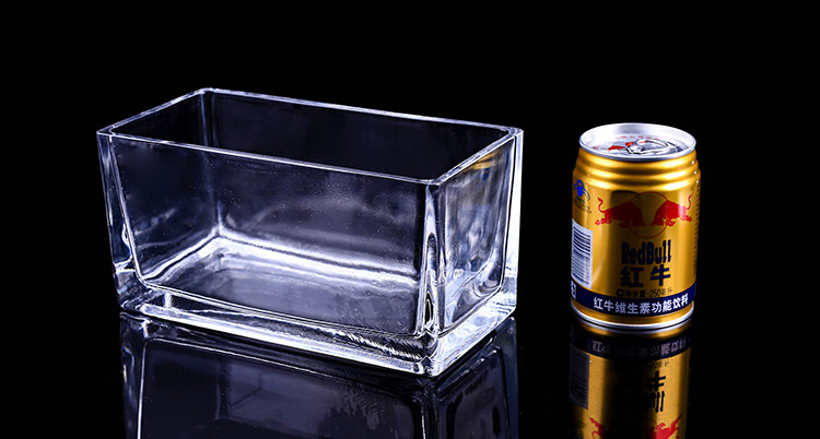 桌面透明玻璃花瓶水培长方形水养植物容器创意鱼缸花盆器皿大号 10*10