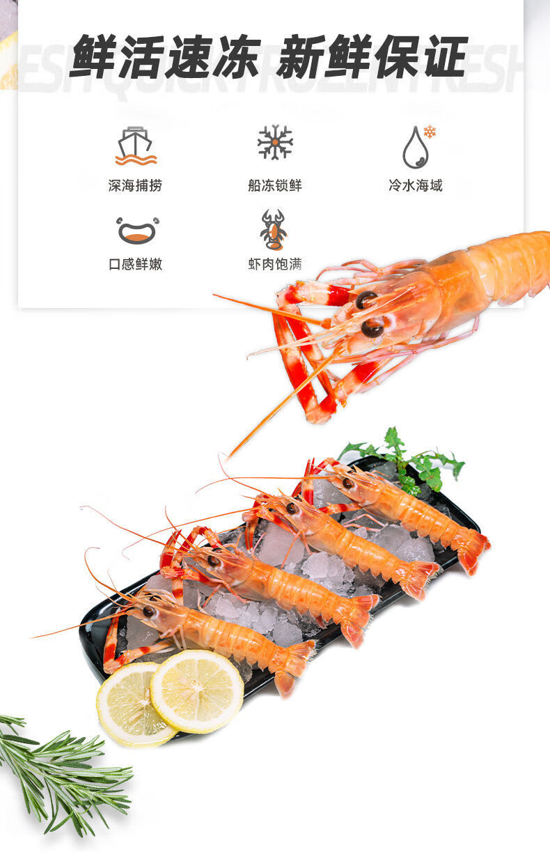 虾速冻海捕鳌虾海鲜皇波纳特 高品质净重一斤装 18-22cm【图片 价格