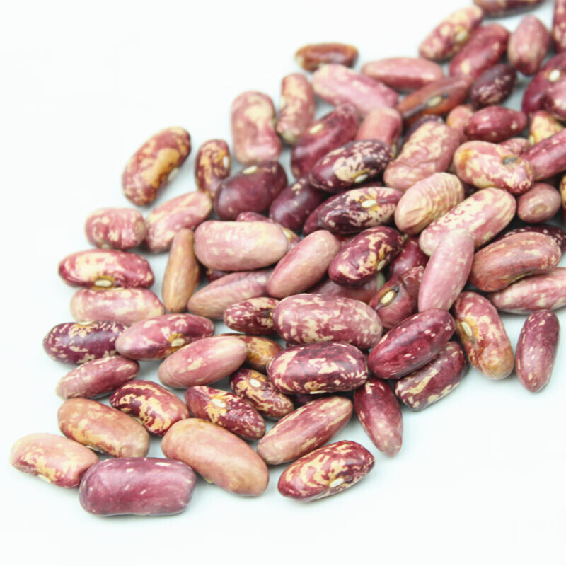 红花芸豆500红芸豆花芸豆大饭豆大芸豆腰豆类杂粮粗粮