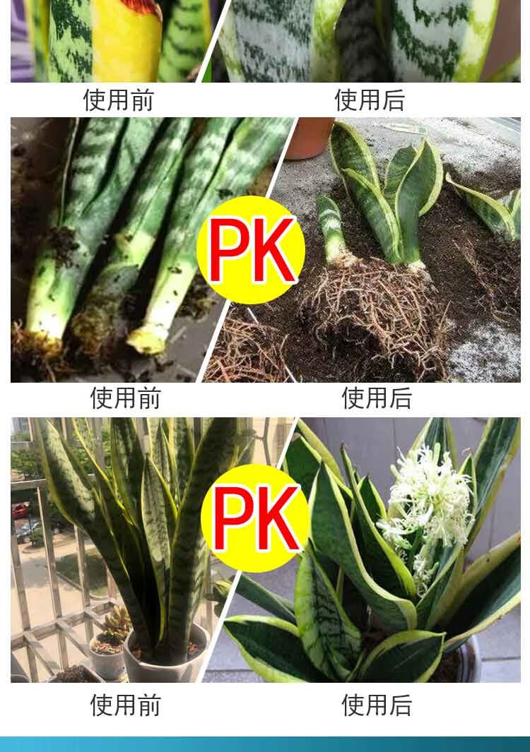 家木森 虎皮兰专用肥料绿植花卉园艺盆栽虎皮兰有机花肥 虎皮兰专用肥
