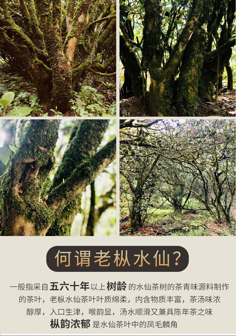 慧索慧苑坑百年老枞水仙武夷大红袍茶叶岩茶坑涧老丛【图片 价格 品牌