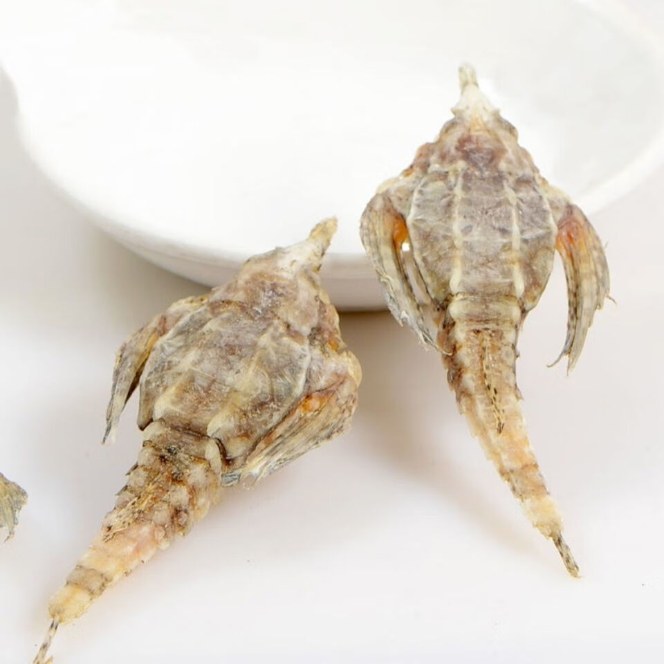 伟博大海燕干货海产海麻雀煲汤泡酒料中药材搭配海龙泡酒大个100克