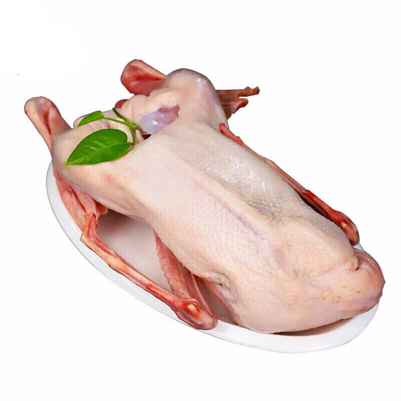 棠鲜生2年老鹅肉苏北农家大白鹅草鹅笨鹅土鹅肉新鲜大鹅6斤左右