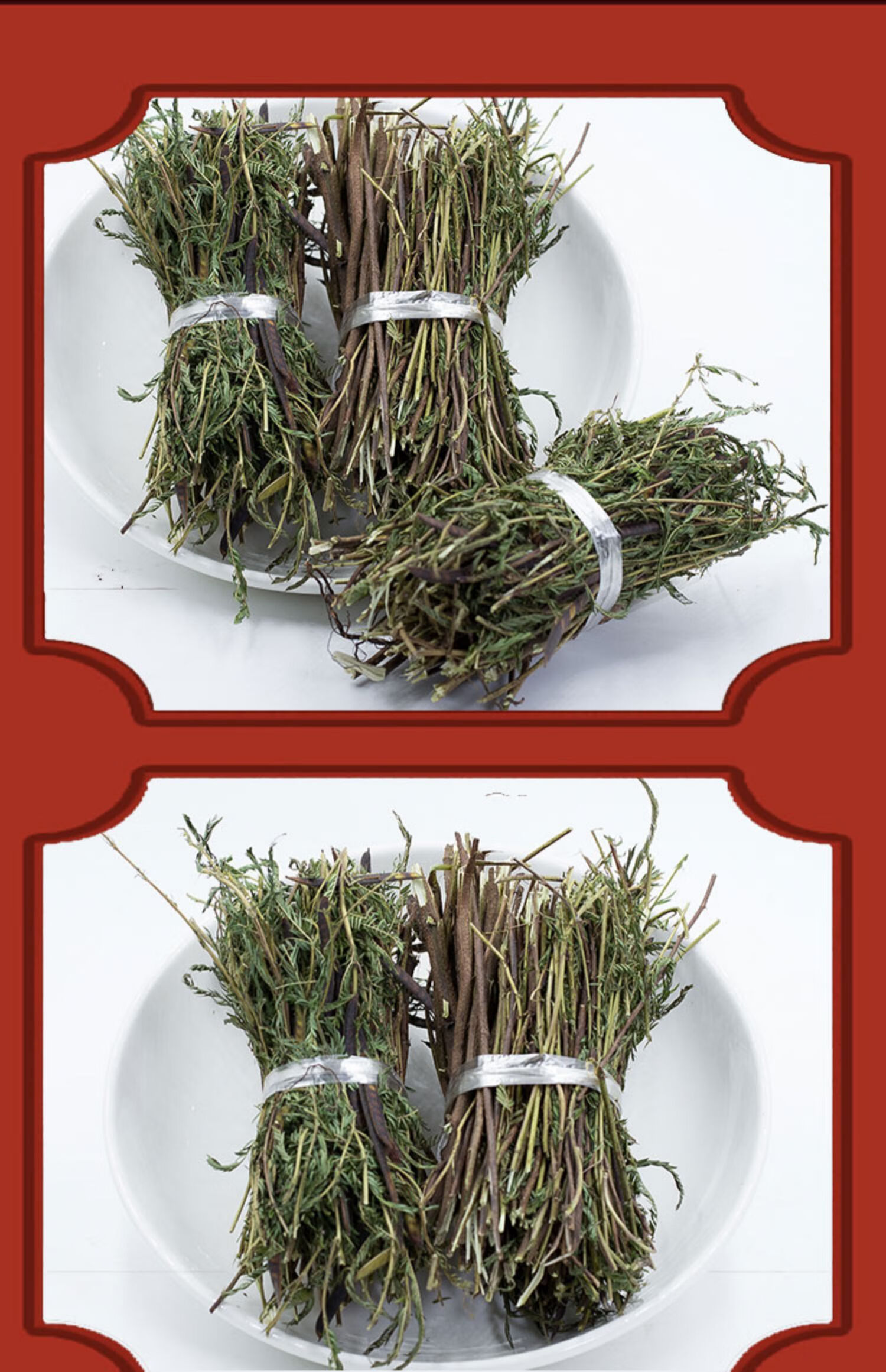 【官方旗舰】铁甲草500克 煲汤料软肝草含羞草决明中药材【图片 价格