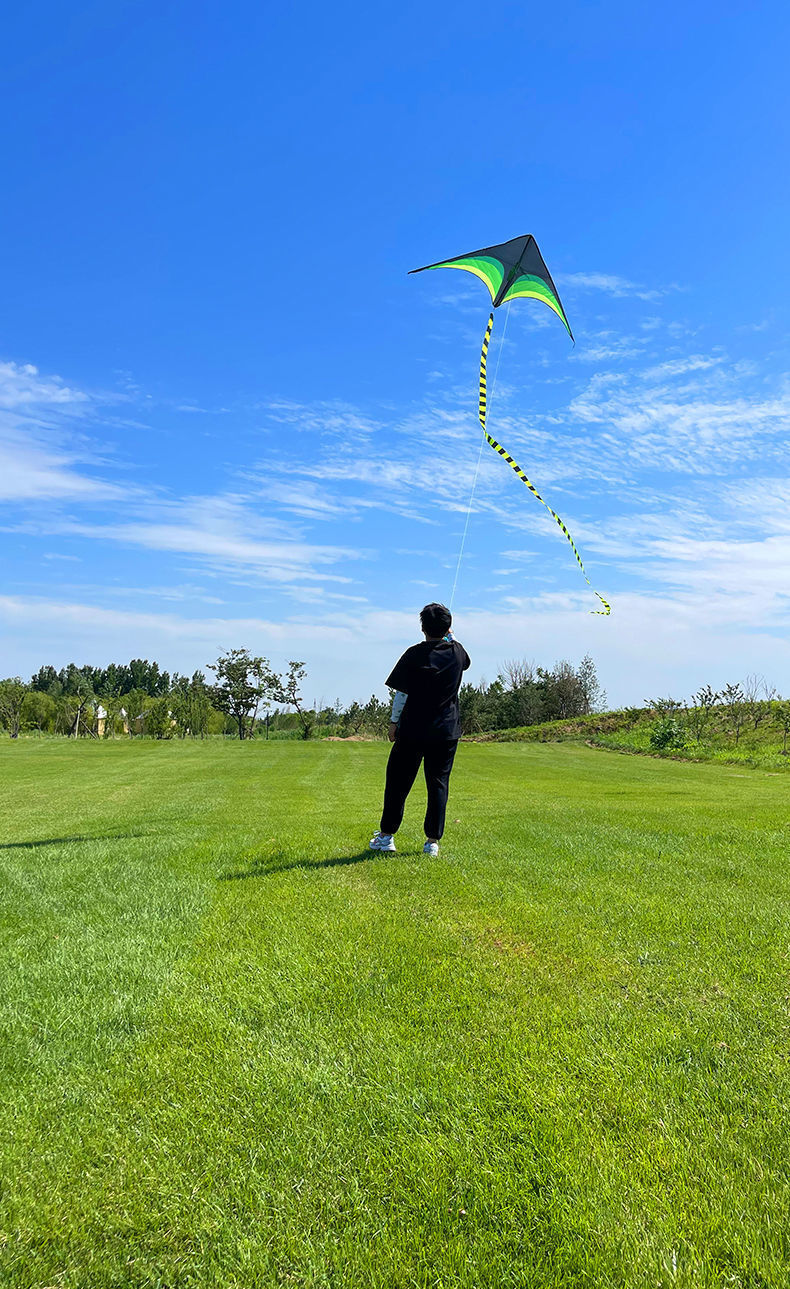 大草原风筝大草原风筝网红2022新款成人大风筝微风儿童易飞风筝成人