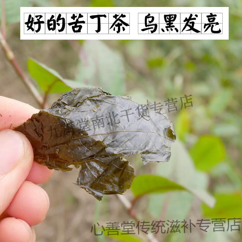 官方苦丁茶大叶散装云南毛冬青茶苦茶小叶500g