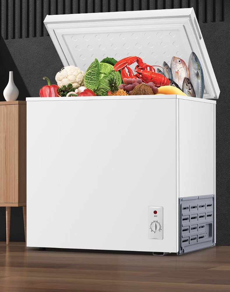 山水小冰柜家用全冷冻小型冰柜保鲜冷冻两用冷柜迷你家用双温冰柜we