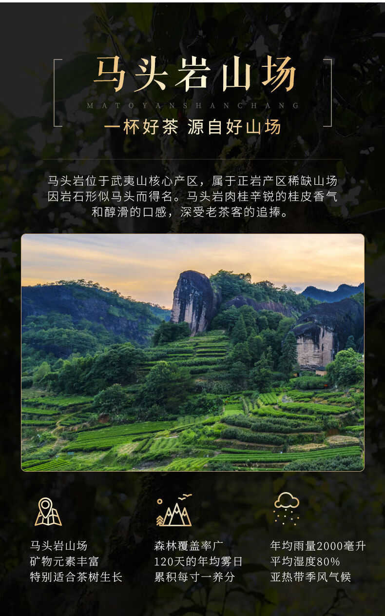 肉桂茶武夷山马头岩肉桂大红袍茶叶浓香型罐装500g