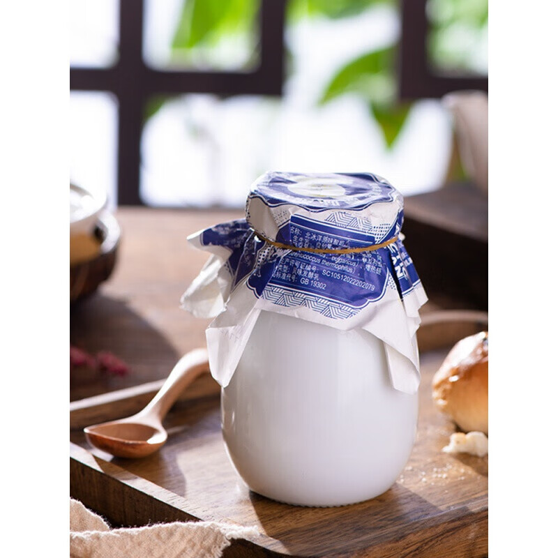 洋酸奶 酸奶老北京风味酸牛奶瓷瓶原味益生菌发酵乳整箱怀旧老酸奶 6