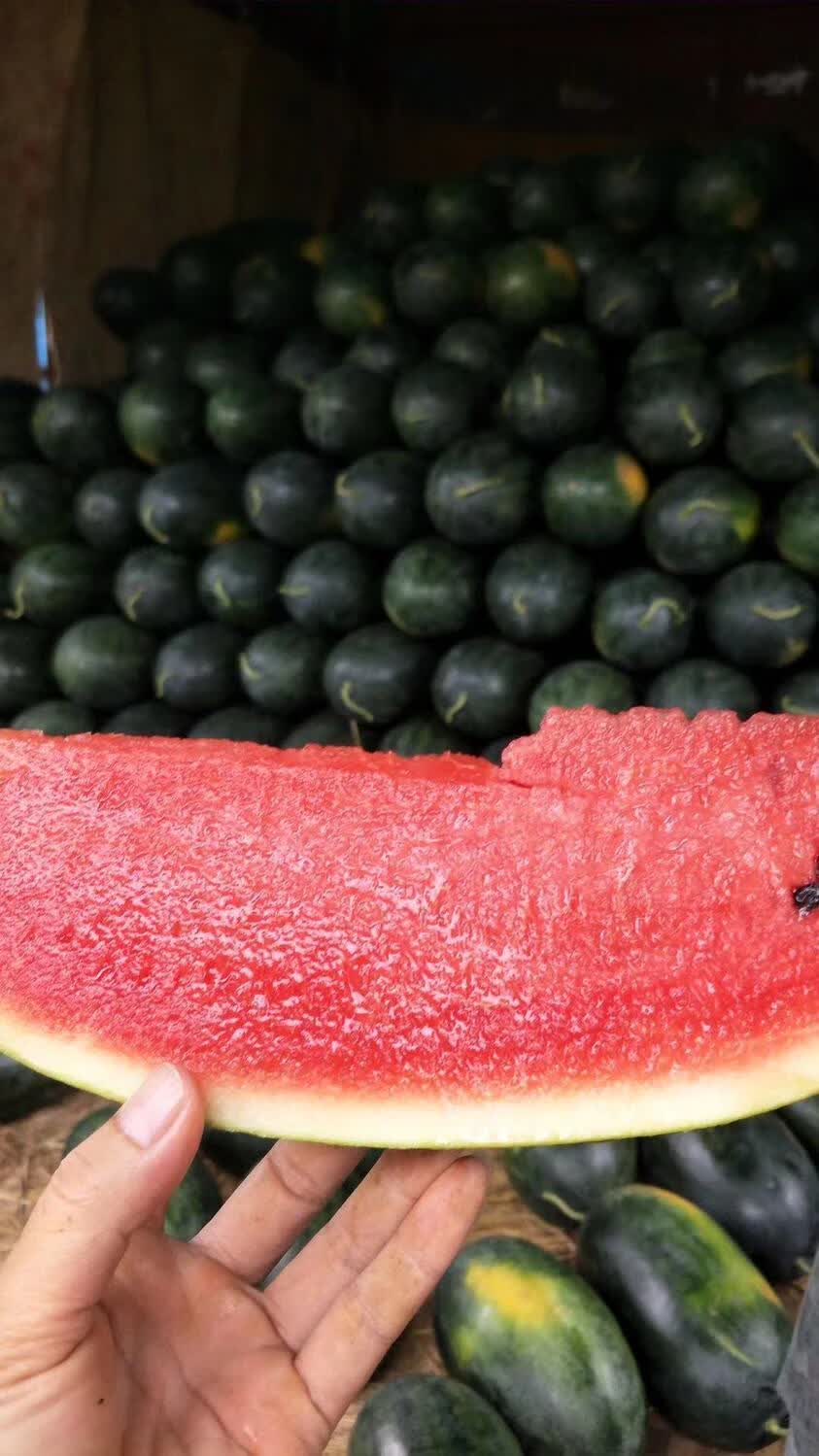 黑美人瓜210斤高山山地西瓜很甜新鲜应当季水果薄皮整个批发一个装56