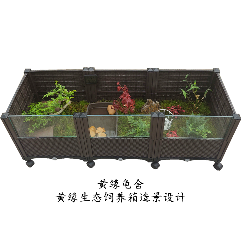 黄缘龟舍黄缘饲养箱安缘安布台缘窄桥黄喉星点火焰黄额养殖箱12080