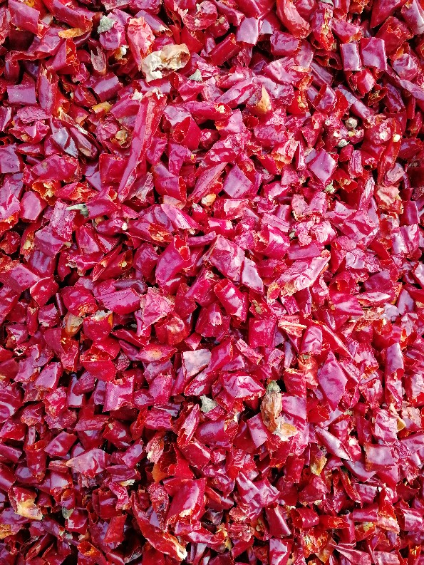 春光岛新一代干辣椒节2500克微辣超香干海椒辣椒段海椒节节