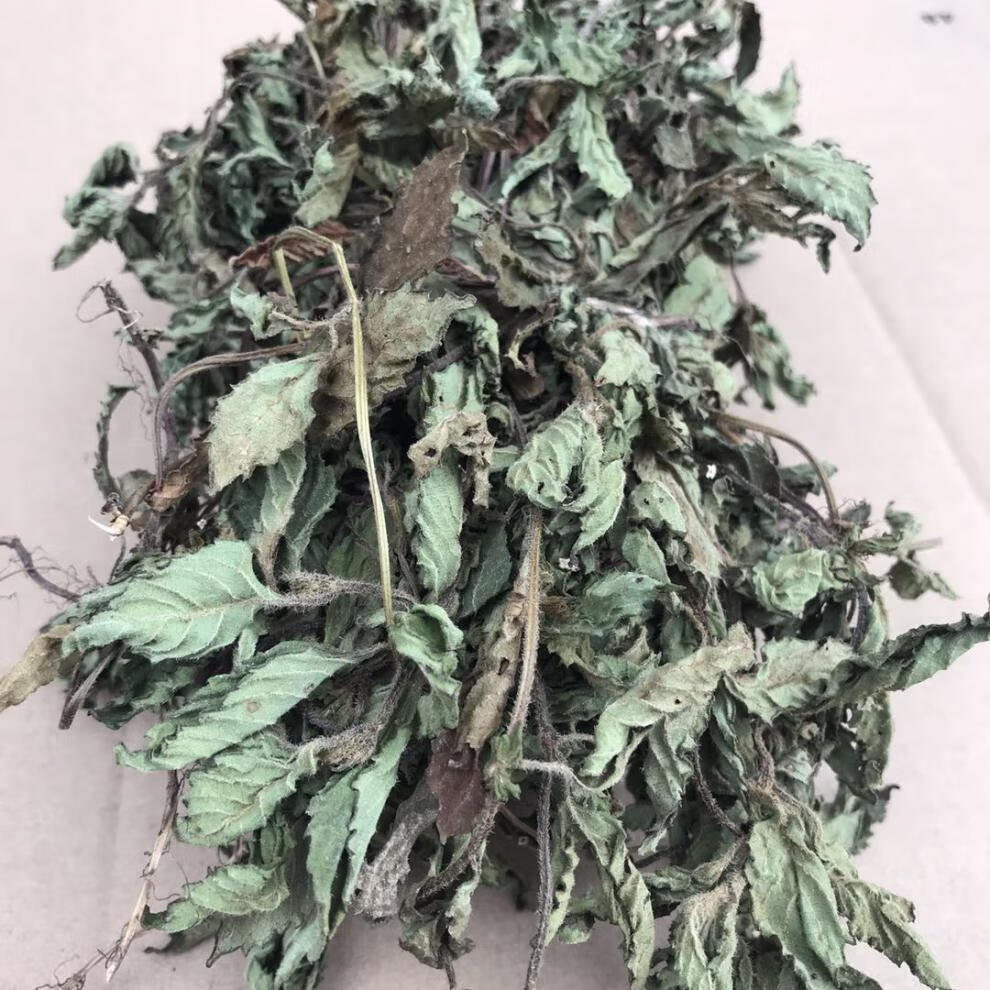 益君健仙草新鮮草乾燒仙草原材料黑涼粉草仙草凍仙草幹套餐仙人粄500g