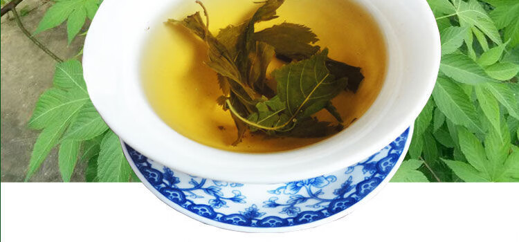 甜茶叶 广西金秀甜茶大瑶山刺儿茶叶天然无蔗糖养生茶250g500g 野生