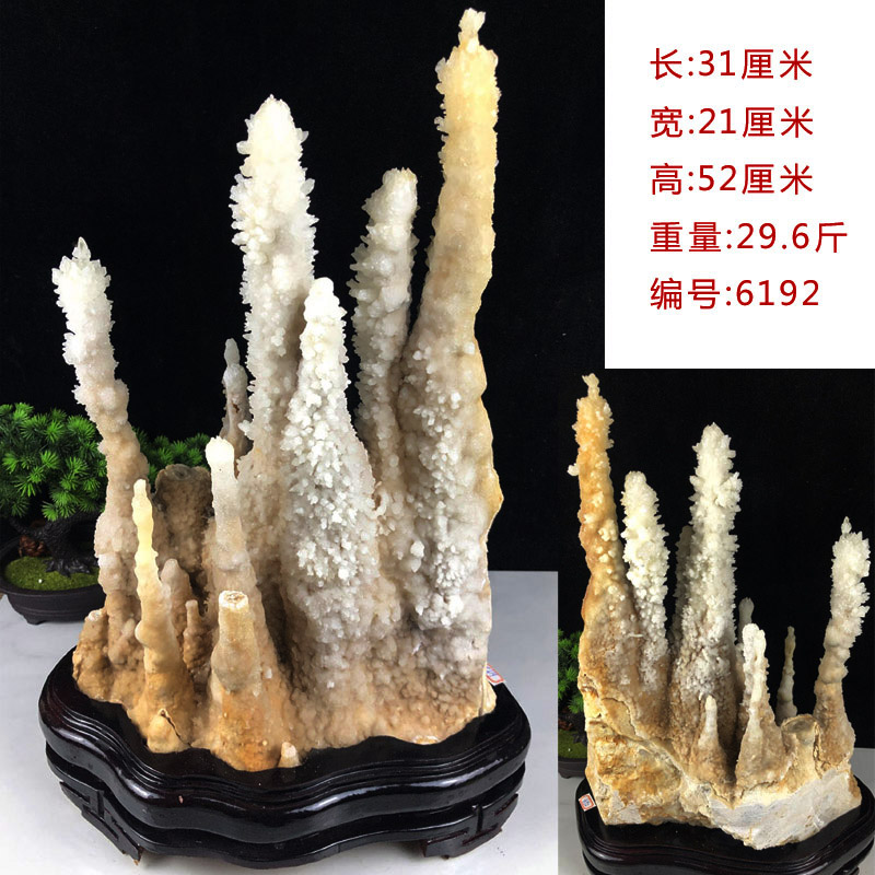 0cf9e12a23b65b97.jpg
