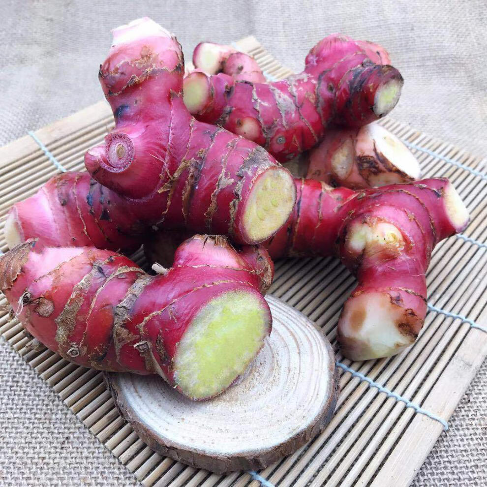 正宗野生新鲜南姜 山姜高良姜芦苇姜冬阴功汤卤水汤