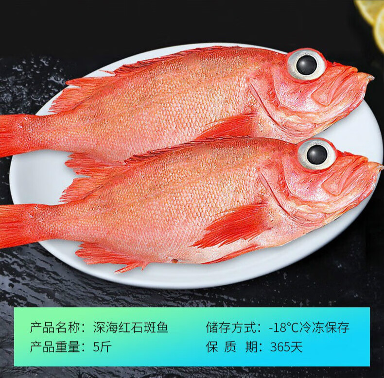 紅石斑魚新鮮冷凍整條大龍膽魚富貴魚體深海魚海鮮水產 克雷蒙 10斤