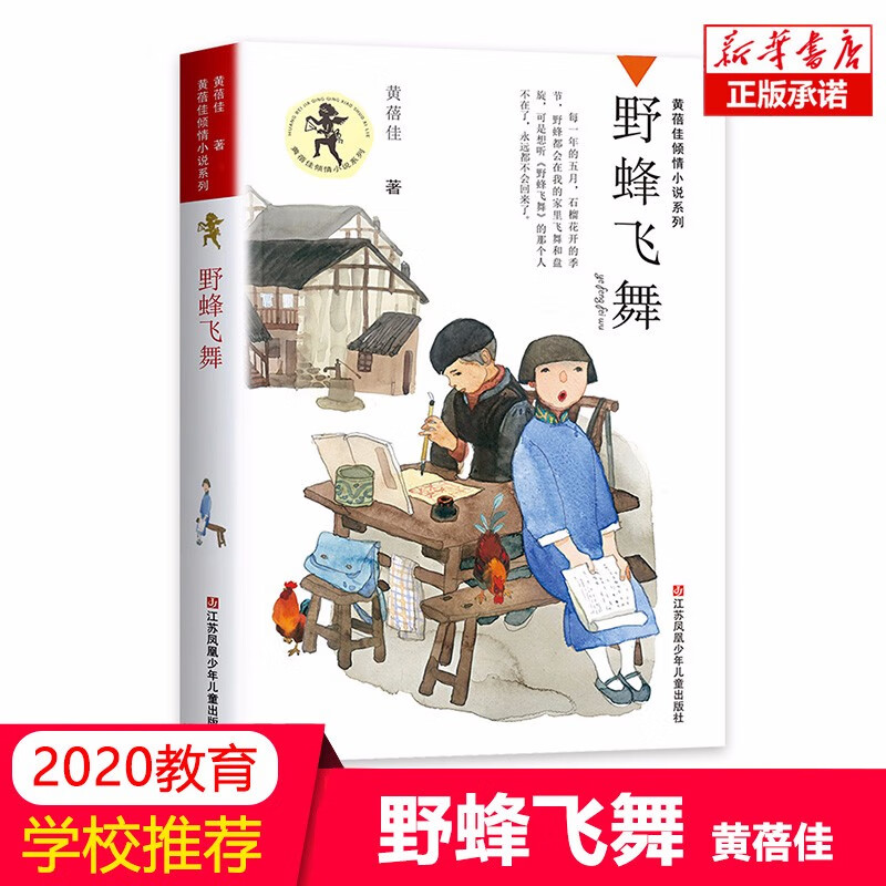 野蜂飞舞/黄蓓佳倾情小说系列