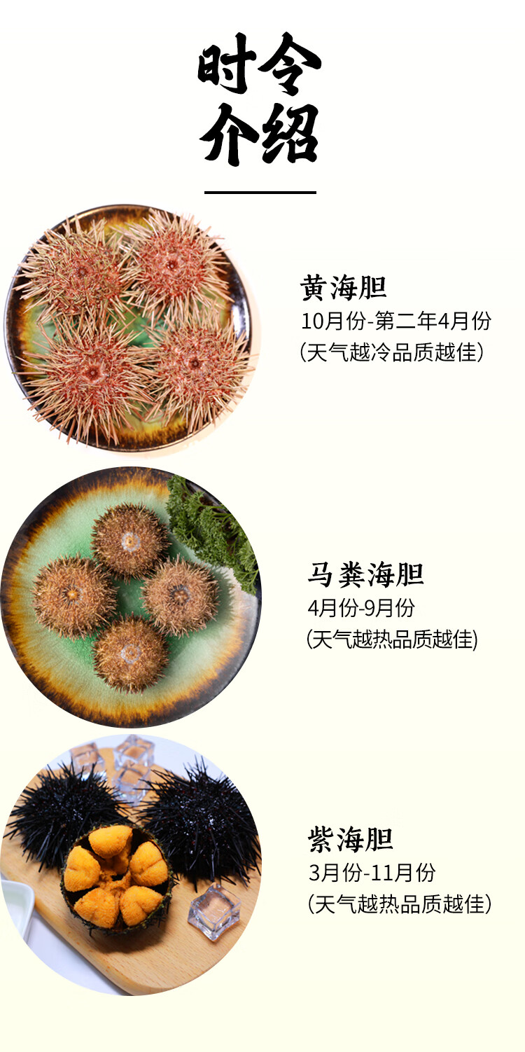 地隔日达】马粪海胆 鲜活新鲜10头刺身海胆肉大连日料超朴【图片 价格