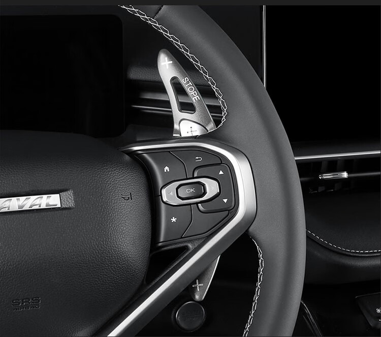 21-22款第三代哈弗h6 换挡拨片【银色款】