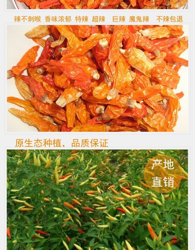 湖南超香特辣500g小米辣椒王黄干辣椒巨辣野山椒农产品1斤整只500g