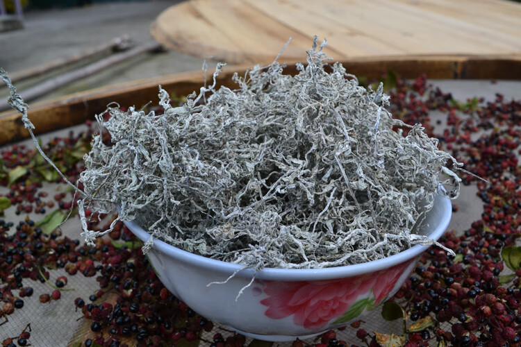 益君健莓茶张家界霉茶滕茶250g藤茶养生茶雪茶土家【图片 价格 品牌